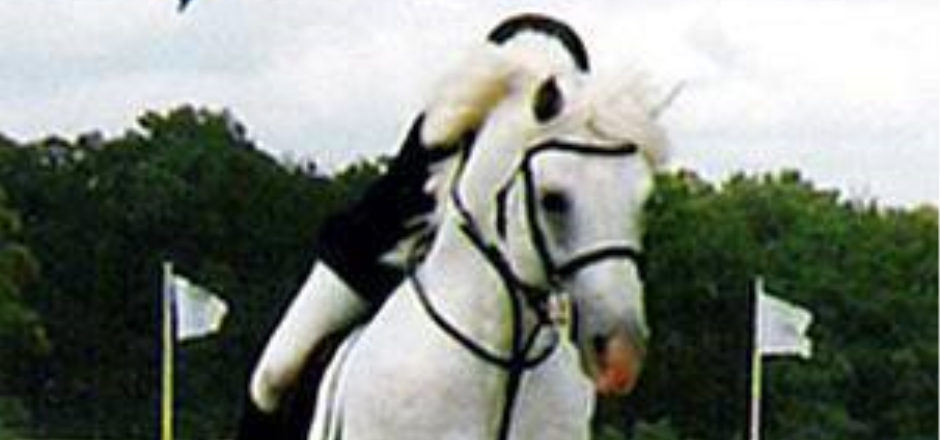 I Cavalli Del Maglio Asd